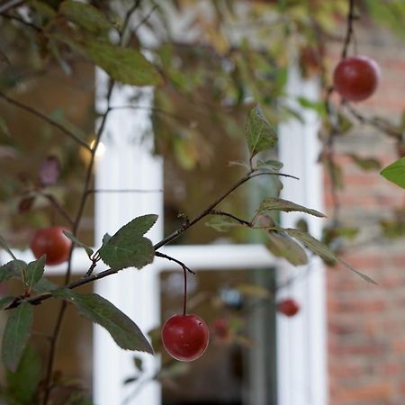Beautiful London Home Sleeps 6, 2 Minutes To Metro Luaran gambar