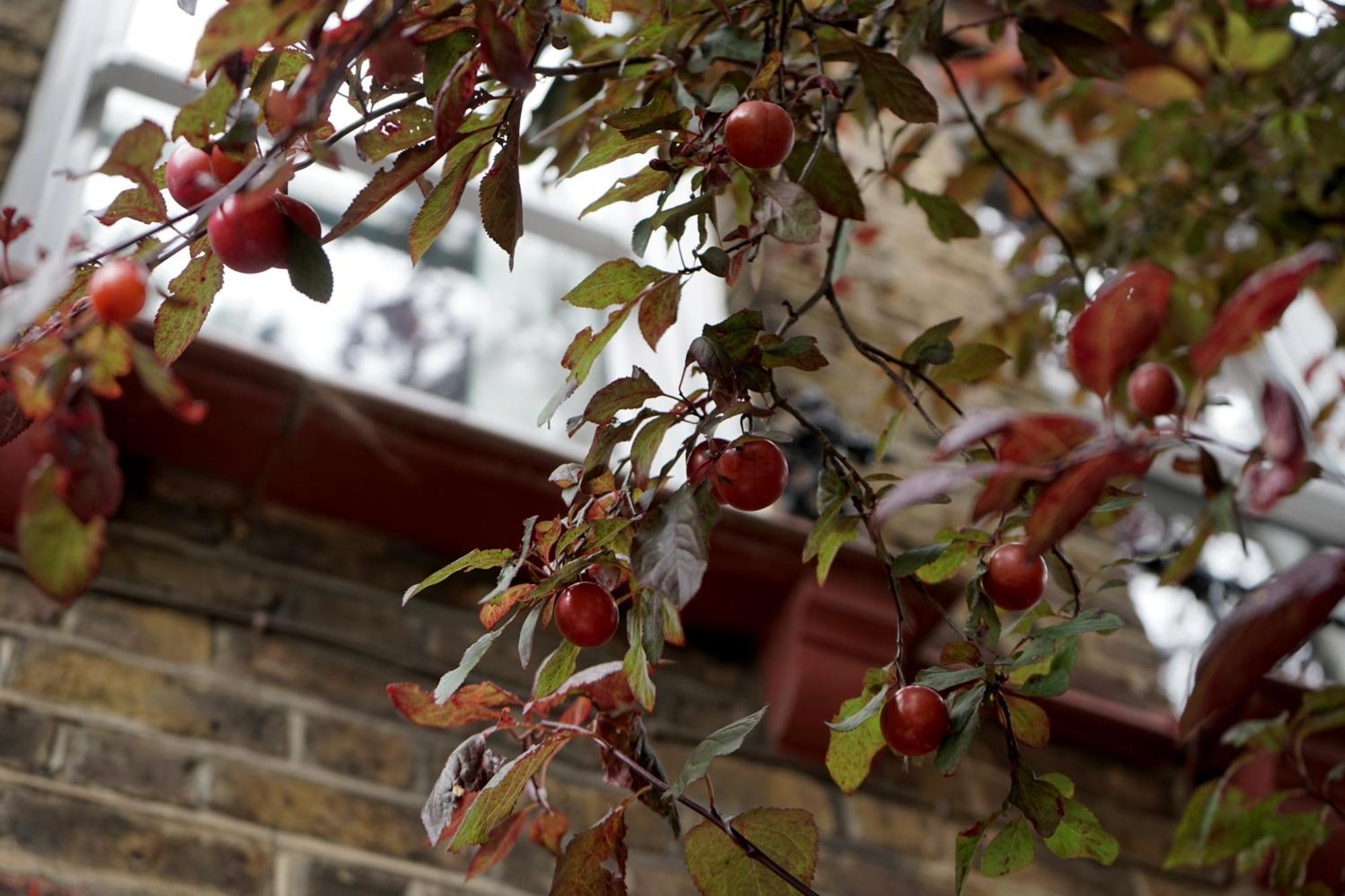 Beautiful London Home Sleeps 6, 2 Minutes To Metro Luaran gambar